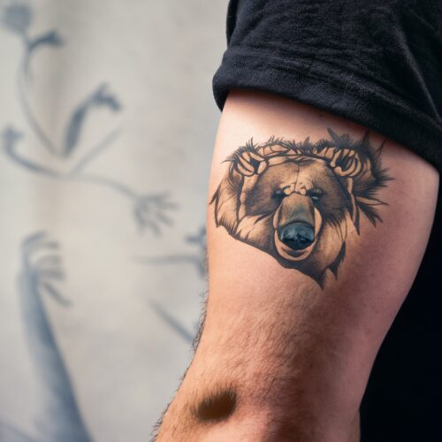 Kutztown Bear