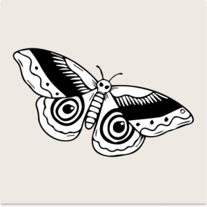 Skull Moth for Download